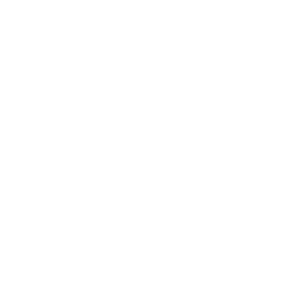 PPT logo icon white - Organizing Works: How We Are Moving $$ Away From the Mon-Oakland Connector & Funding Community Needs